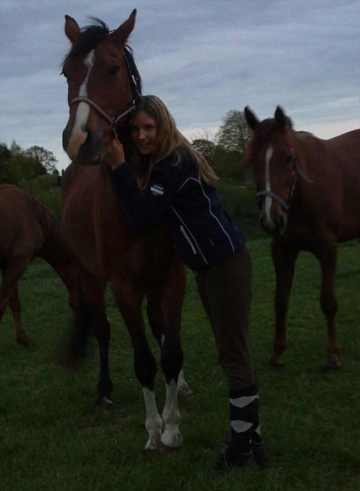 Anden særlig race Lazal billede 10