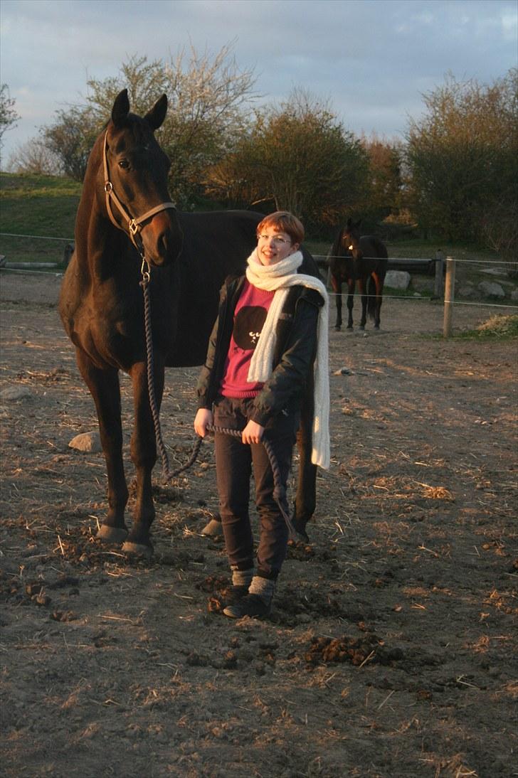 Anden særlig race Brøderups Brimer billede 18