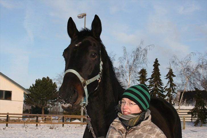 Anden særlig race Brøderups Brimer billede 20