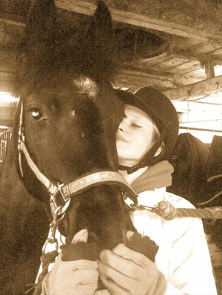 New Forest montana - Ét billede siger mere end 1000 ord! <3 billede 6