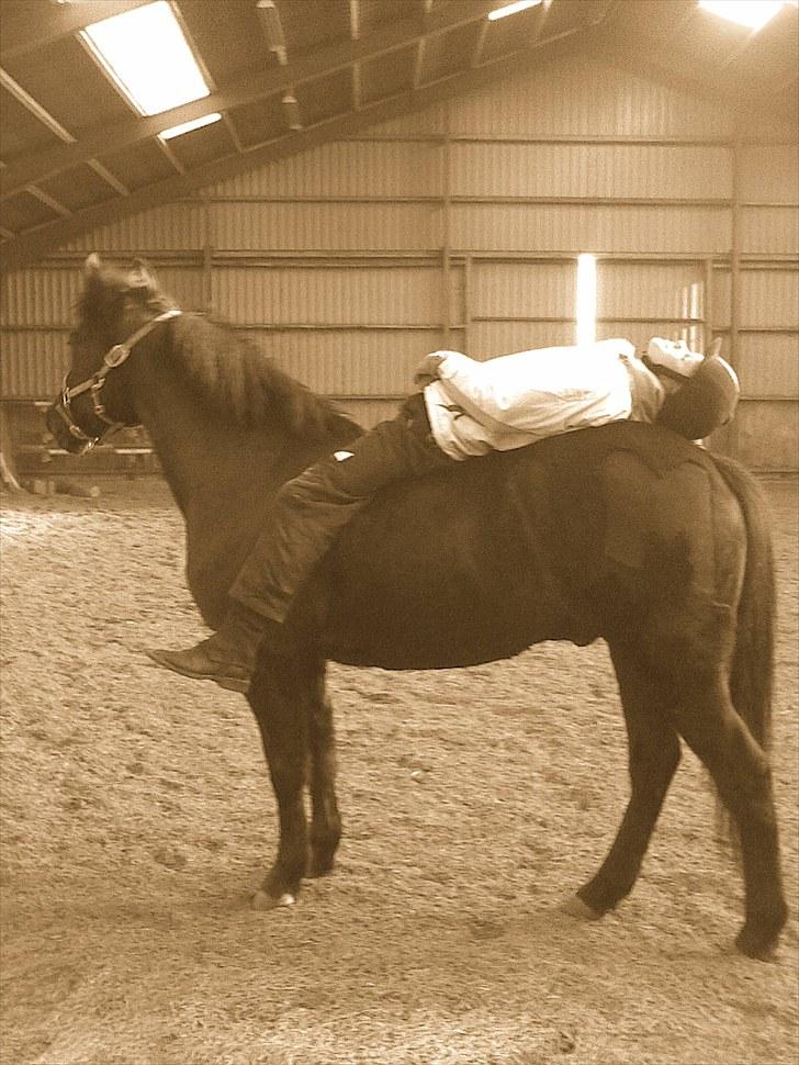 New Forest montana - Vi lovede hinanden at tro på kærlighed! <3 billede 7