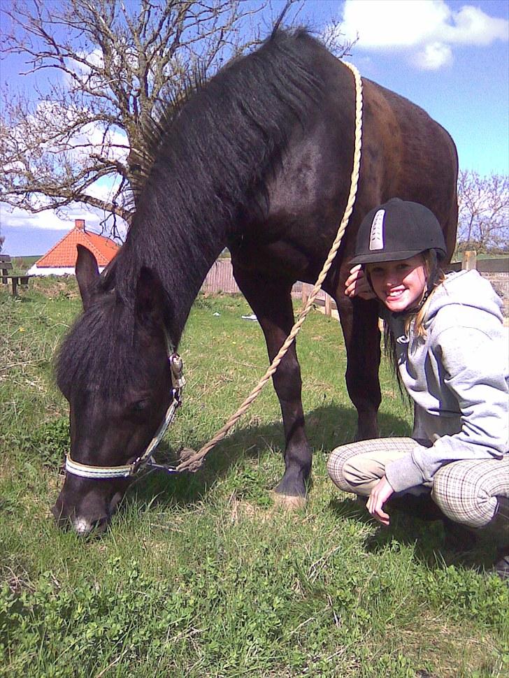 New Forest montana - Man skal vise den glæde man gir hinanden! :-) billede 9