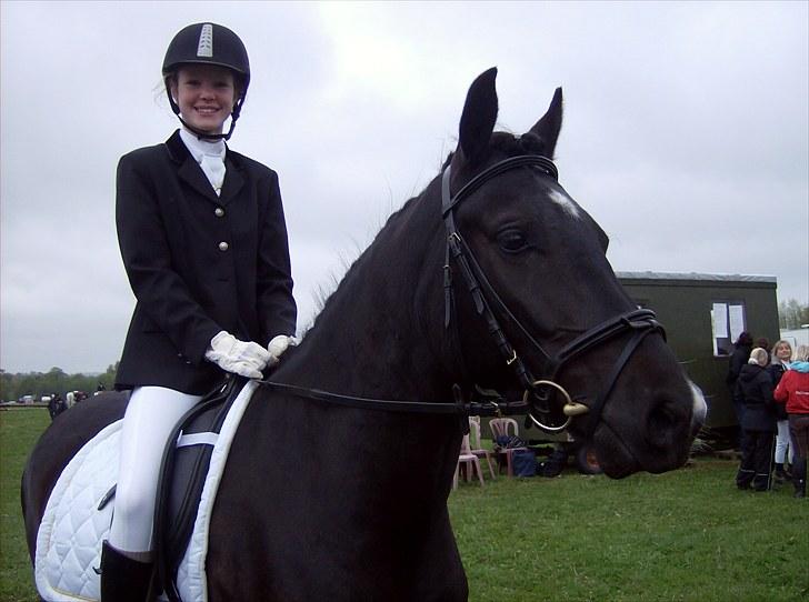 New Forest montana - Et stolt par :-) billede 10