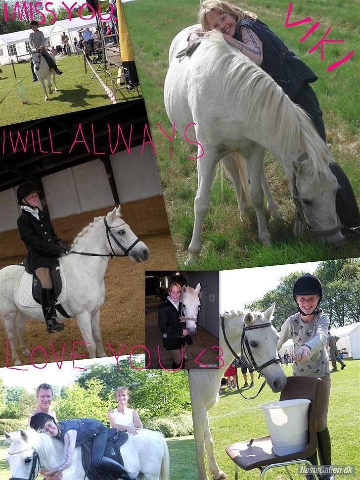 Anden særlig race I WIL LOVE YOU 4-EVER!!!! billede 18