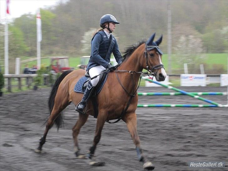 Anden særlig race Flying Filuca! RIP.;( - UNDSKYLD KVALITETEN!  billede 6