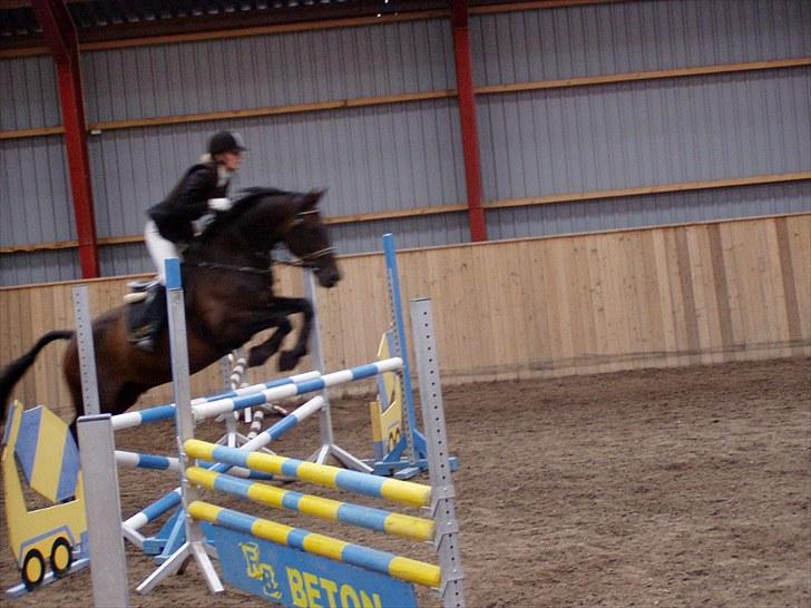 Holstener Hesteløkkens Chic - Mig og Eddie i vores 2. LD billede 12