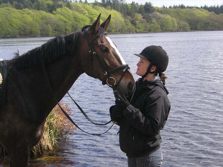 Anden særlig race Millenium Pride - Jeg elsker dig <3 Foto: Kate Hammer Jakobsen. billede 9