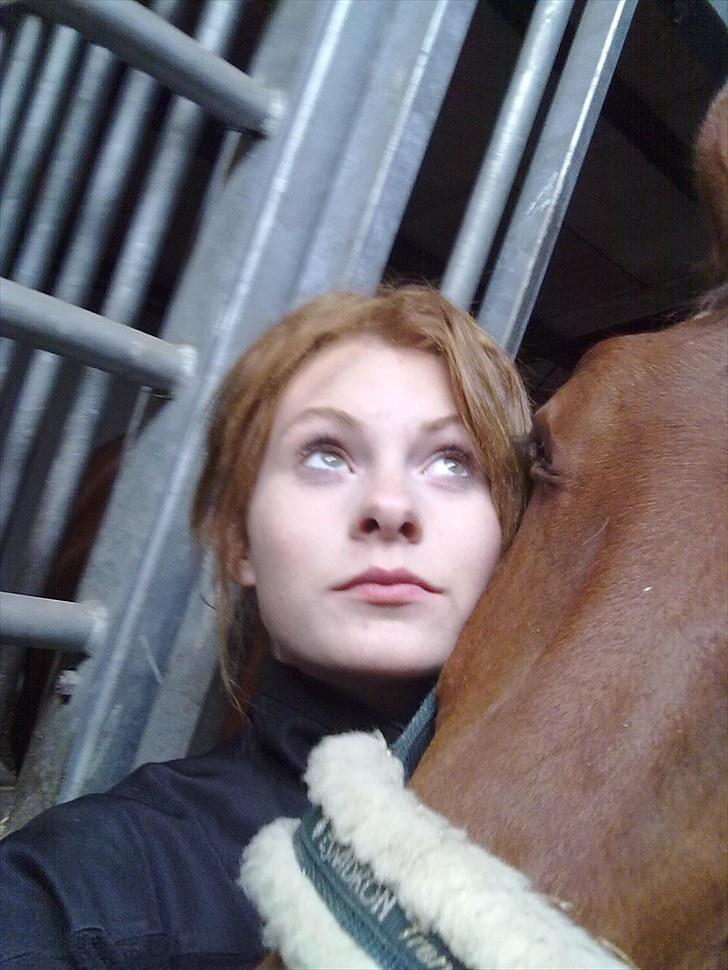 Holstener Sir Sirocco - Jeg elsker at lægge mit hoved op af dig. Du gør mig tryk . billede 14