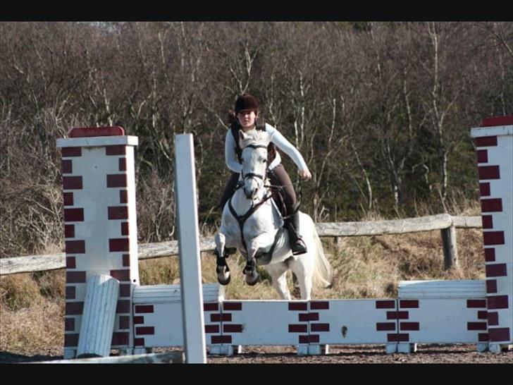 Anden særlig race frøken mille - Emma & Mille Taget af: Mette Louise billede 18