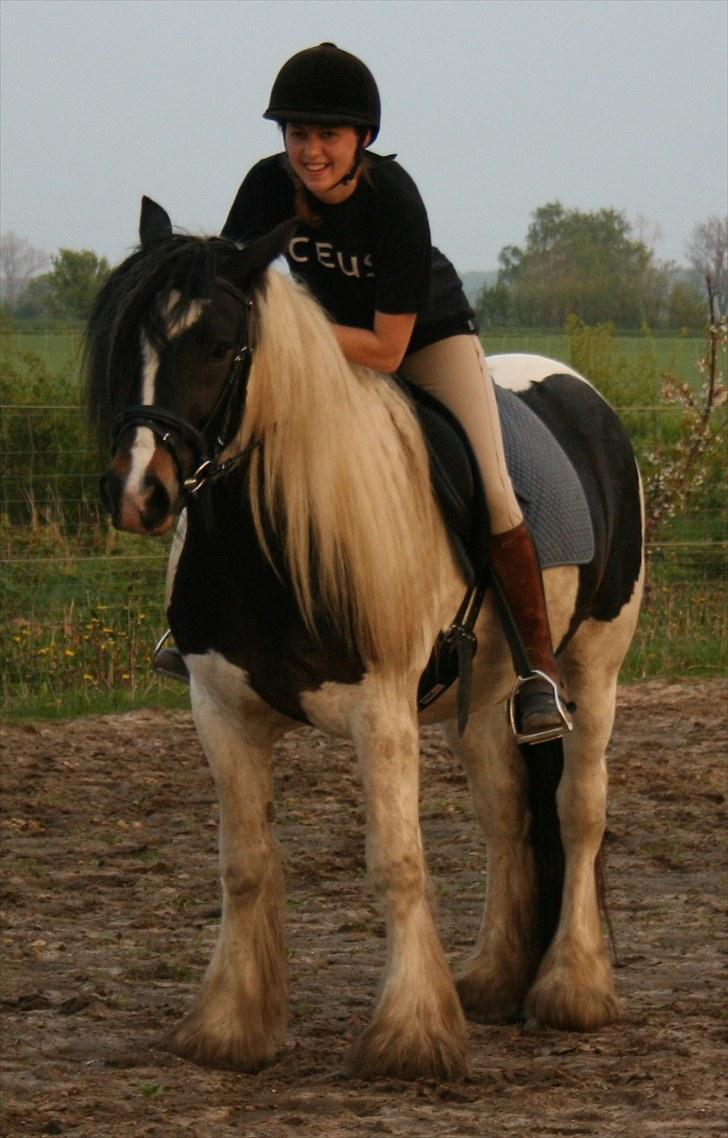 Irish Cob Troelsegårdens Aurora - Er hun ikke fin, den lille hest.... billede 12