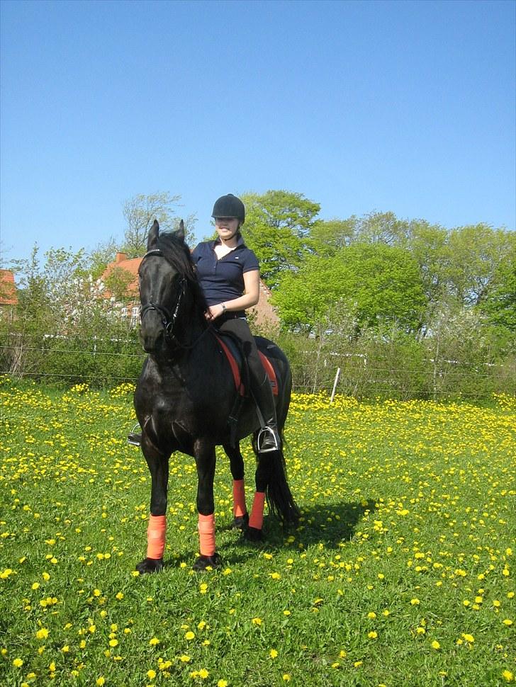 Frieser Rykje van Bourboom R.I.P. - Første ride tur på Rykje :) Hun var super sød billede 8