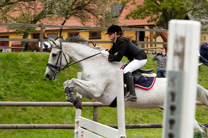 Holstener CORVARA 7  - LC - 2. plads  - Ctfoto.dk ©  billede 17