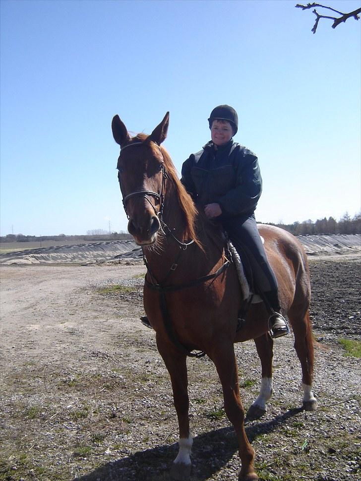 Dansk Varmblod Tjargo Star - Ridetur april 2010.. billede 13