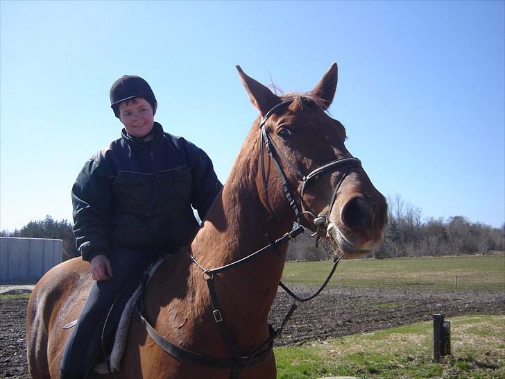 Dansk Varmblod Tjargo Star - Lytter lige hvad (mor) siger til mig.. billede 14