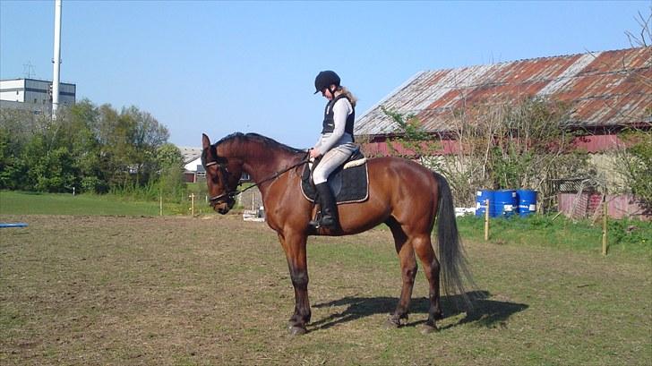Traver Emir billede 3