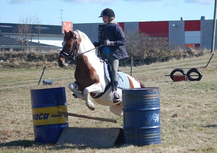 Anden særlig race Kimi *SOLGT* - Camilla Petersen billede 9