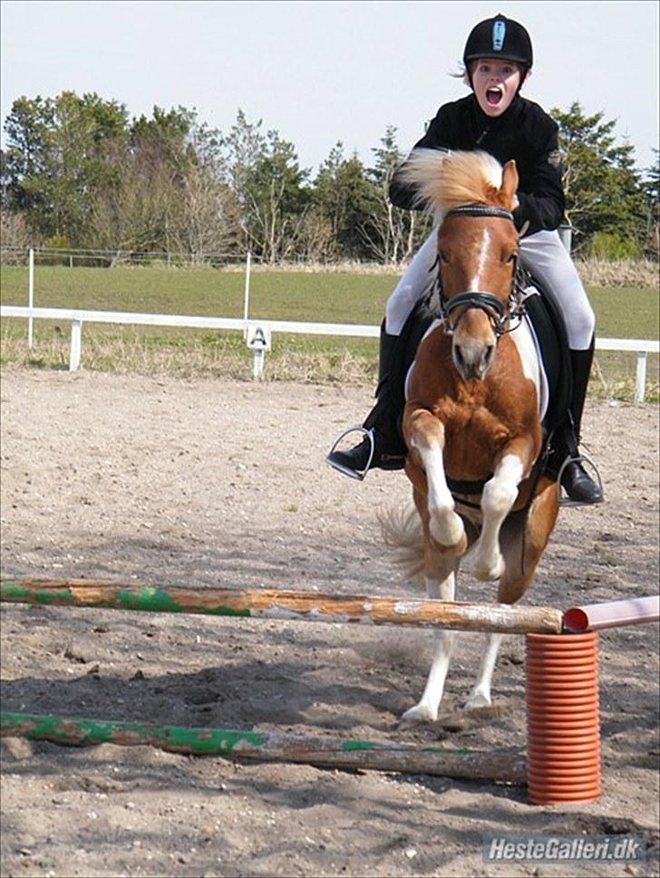 Anden særlig race C-mol  - Mig: OBS: Ikke kigge på mit ansigt! :)   Hallo? Du var advaret xD billede 13