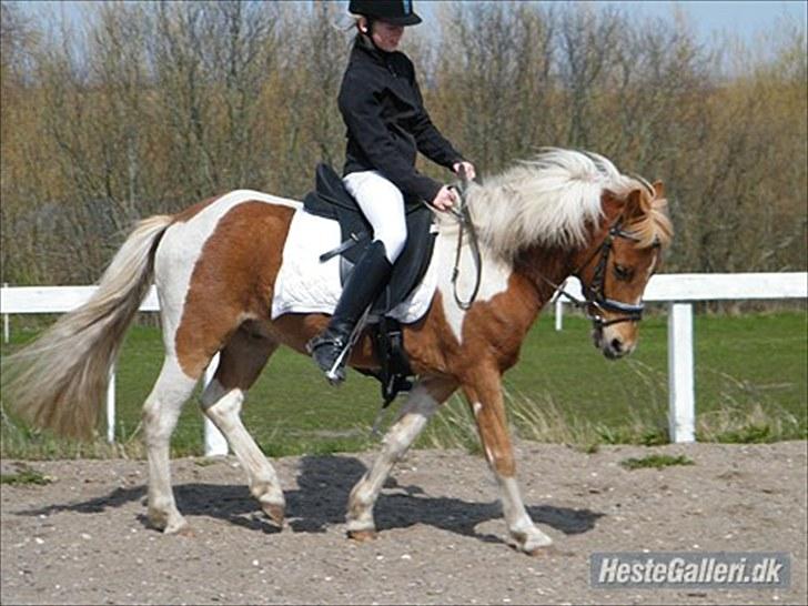 Anden særlig race C-mol  - Så fin.. billede 14