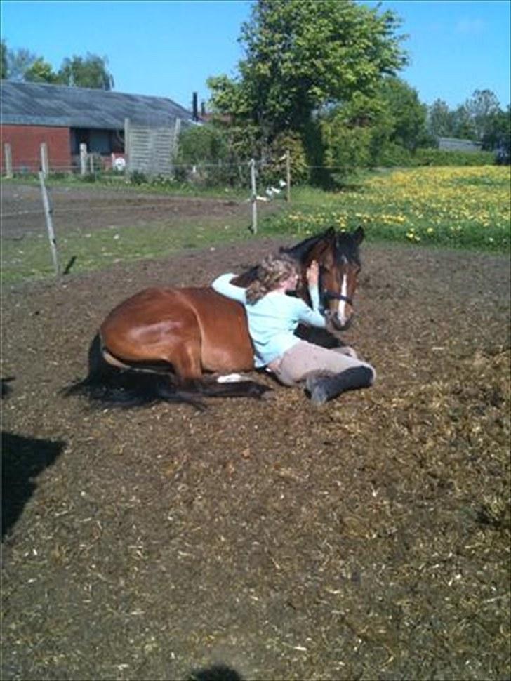 Anden særlig race Ferrari  billede 12