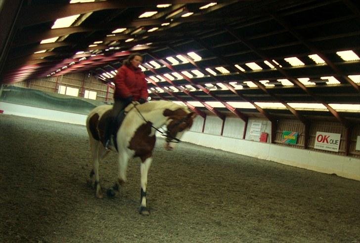 Pinto Marott's Mercurial Paide billede 12