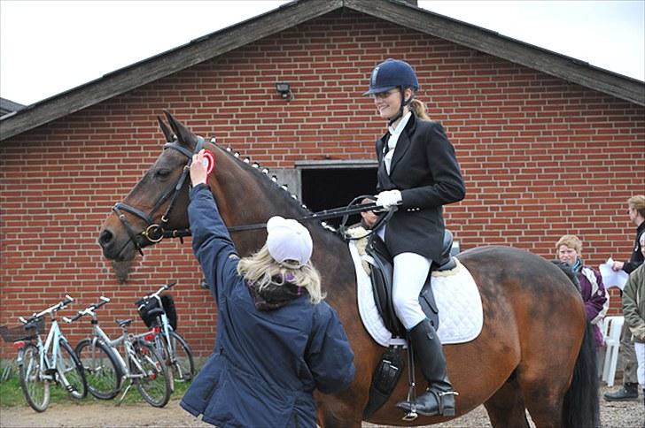 Dansk Varmblod Sabine- Bine billede 18