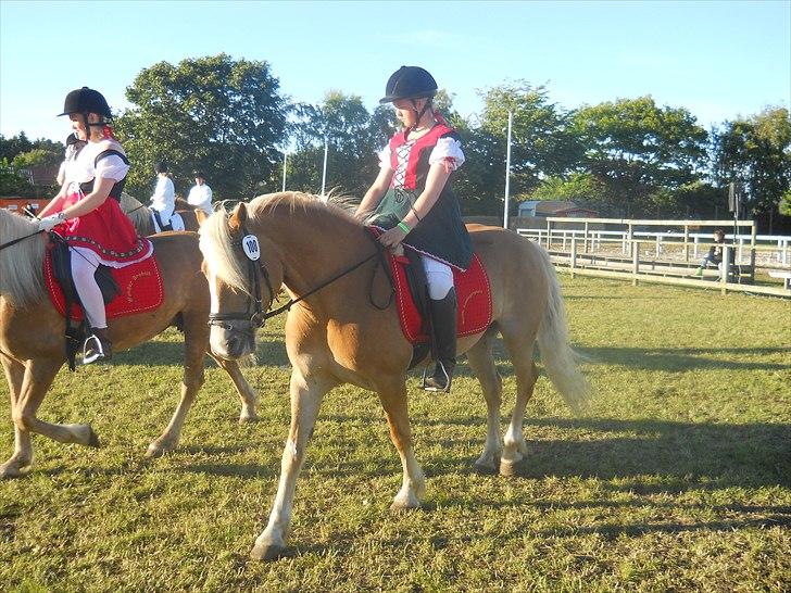 Haflinger Wantih **SOLGT** - Afslapning<3 billede 9