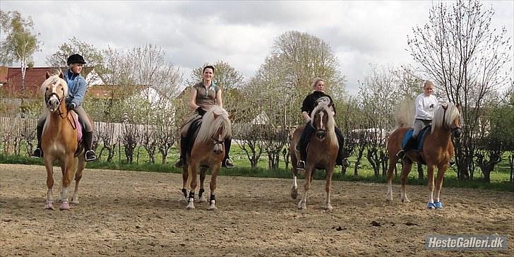 Haflinger Wantih **SOLGT** - gruppebilled..  Mig&Wantih Jannie&Sinne Rikke&wWonder Sandra&Almbue billede 12