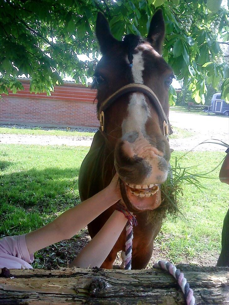 DSP Bitten firhøj - du er så sød lille skath<3 billede 6