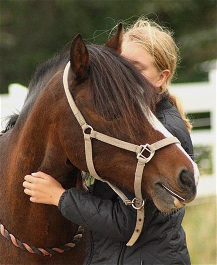 Anden særlig race Lucky Boy † miss you † - 17) Og et kys til min skat! | Foto: KT-FOTO | billede 17