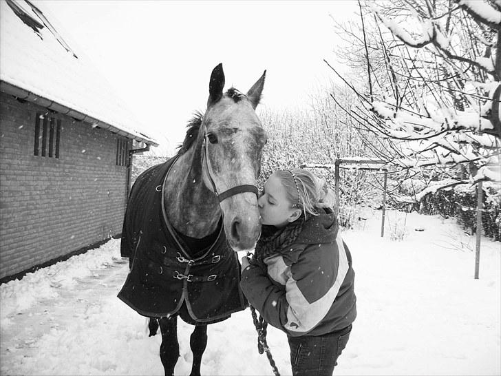 Hollandsk Varmblod Udolien - Vinter 09/10 - halstedhus efterskole! :) billede 15