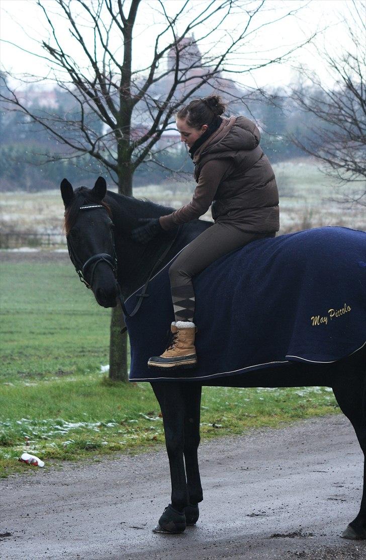 Knabstrupper Calista * R.I.P * - Ude på tur :) Fotograf. Sara Justenborg billede 13
