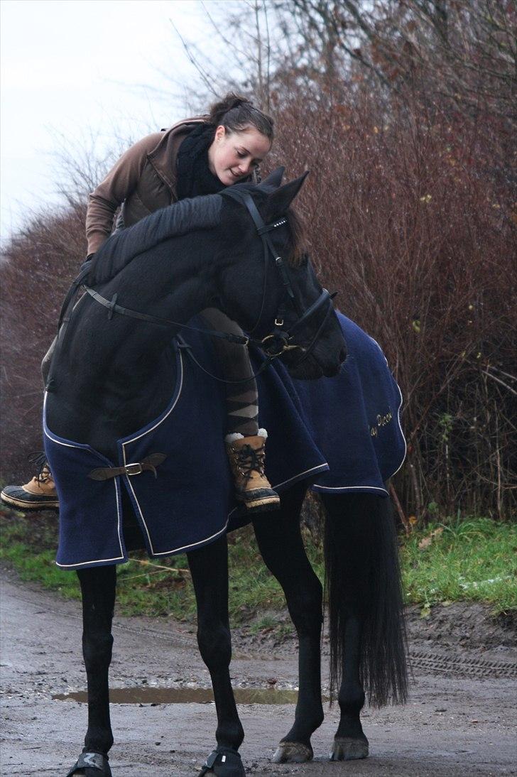 Knabstrupper Calista * R.I.P * - Prinsessen og jeg ude på tur. Fotograf. Sara Justenborg billede 15