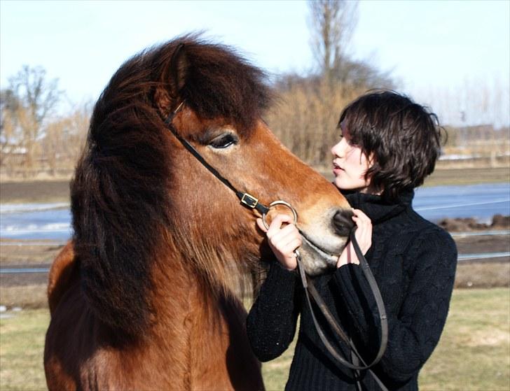 Islænder Frændi fra Strø - You give me the best of you, and I wanna give you the best of me. I know that the two of us together we are meant to be <3 [Foto: Suzette Jacobsen] billede 9