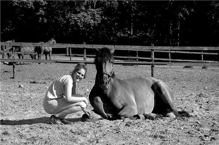 Holstener Caruzo - [fokdalfoto.dk] billede 2