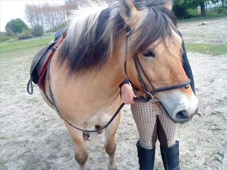 {{currentPhoto.altText}} billede {{currentPhoto.number}}