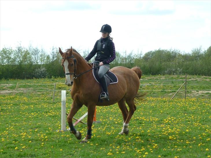 {{currentPhoto.altText}} billede {{currentPhoto.number}}