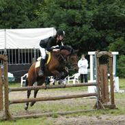 Anden særlig race Engtofts Bonita