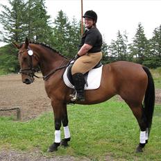 Anden særlig race  Købstrups Athene << Solgt >>