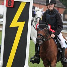 Anden særlig race Buster