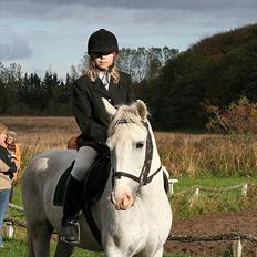 Anden særlig race Vixi