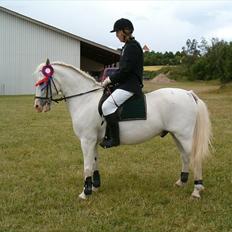 Anden særlig race Vixi