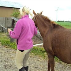 Anden særlig race Felina *SOLGT*