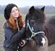New Forest / Araber Pinocchio