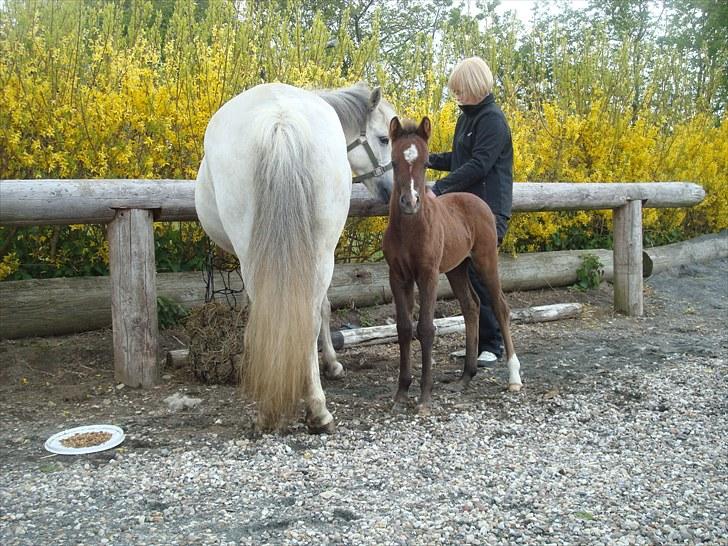 Anden særlig race Necupina (Pina) - Heiii!<3 Jeg elsker dig!!!<3 billede 9
