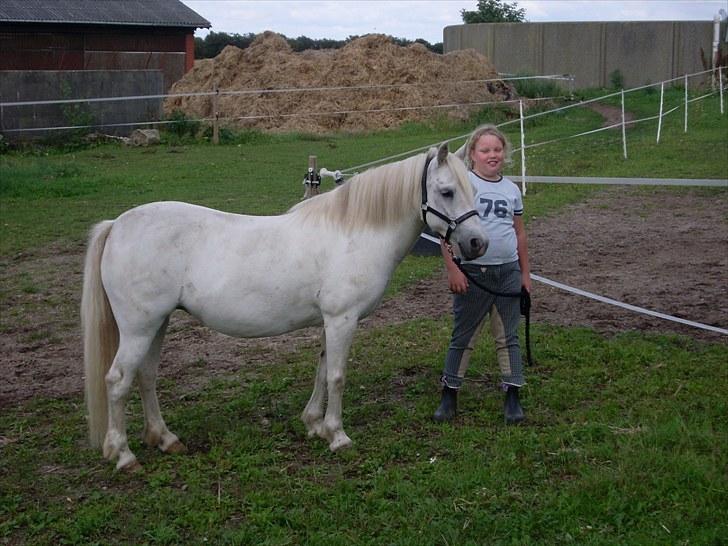 Anden særlig race polka  [solgt] billede 11