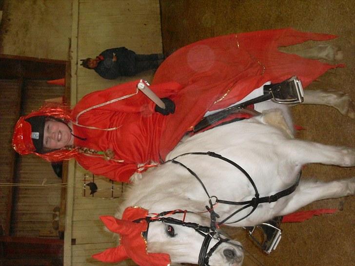 Anden særlig race polka  [solgt] billede 12