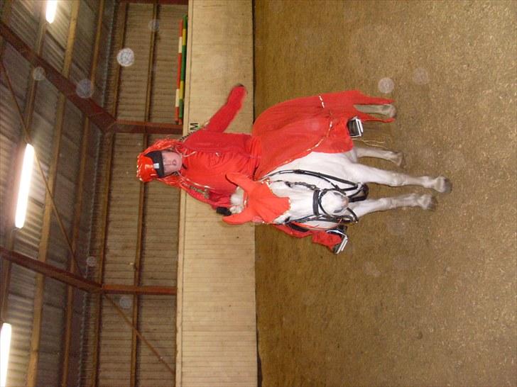 Anden særlig race polka  [solgt] billede 13