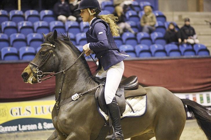 Tysk Sportspony Vivien *SOLGT :'( * - CSIOP Vilhelmsborg billede 14