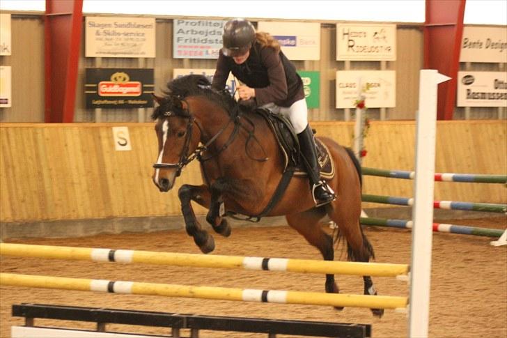 New Forest hiphop. - du er en stjerne på en springbane! du er ligeglad med alt du hopper bare <3!!!! elsker dig min ponymuzz billede 11