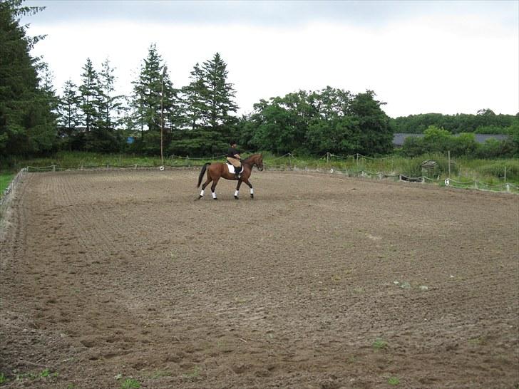 Anden særlig race  Købstrups Athene << Solgt >> - Mig og Athene  billede 4
